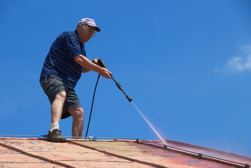 Cedar Roof Stain Removal