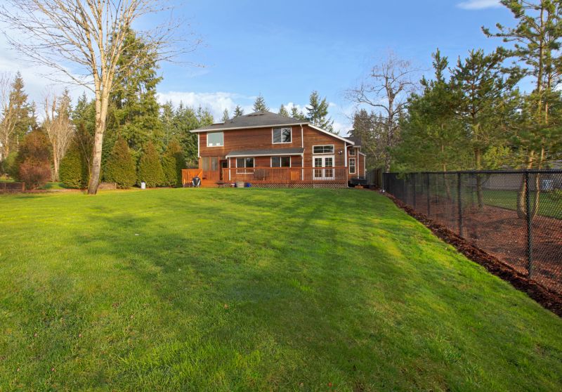Cedar Roof Stain Removal