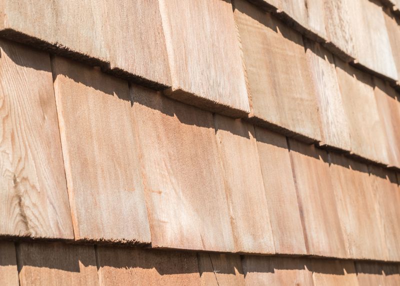 Cedar Roof Stain Removal