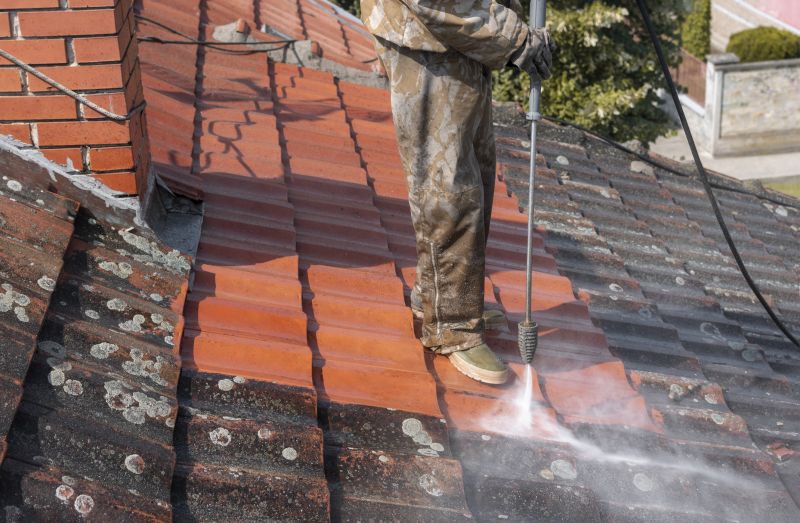Cedar Roof Stain Removal