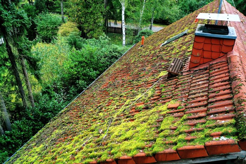 How Roof Cleaning Helps Prevent Mold, Algae, And Moss Growth